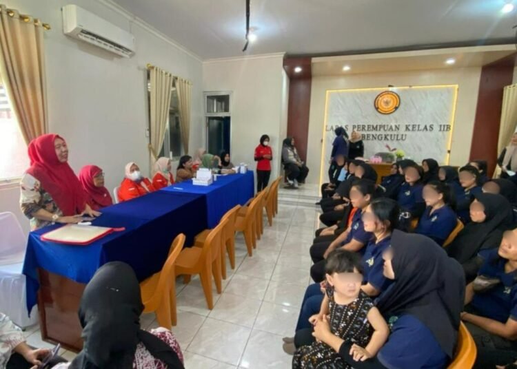 WhatsApp Image 2026 04 16 at 11.28.11