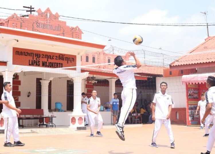 WhatsApp Image 2026 04 17 at 12.30.31