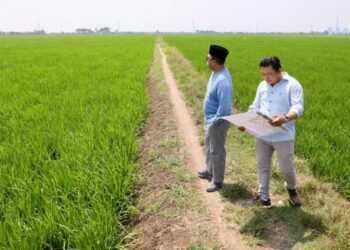 WhatsApp Image 2026 04 20 at 10.53.03