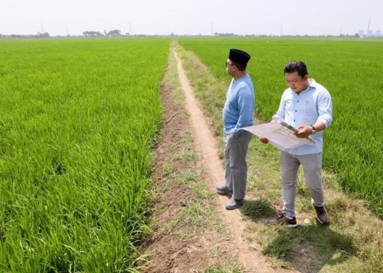 WhatsApp Image 2026 04 20 at 10.53.03