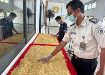 WhatsApp Image 2026 04 20 at 14.39.21