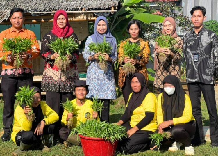 WhatsApp Image 2026 04 24 at 09.38.19