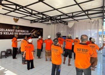 WhatsApp Image 2026 04 25 at 11.04.00