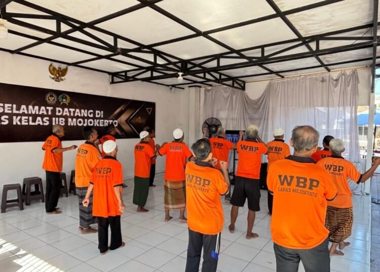 WhatsApp Image 2026 04 25 at 11.04.00