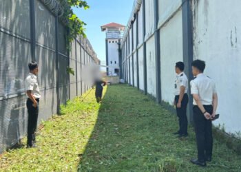 WhatsApp Image 2026 04 27 at 13.13.40 3