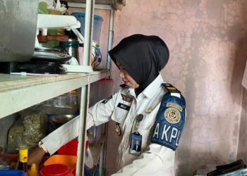 WhatsApp Image 2026 04 29 at 08.02.37