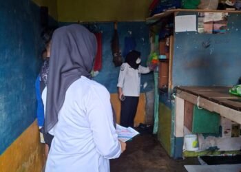 WhatsApp Image 2026 04 29 at 10.31.26 29