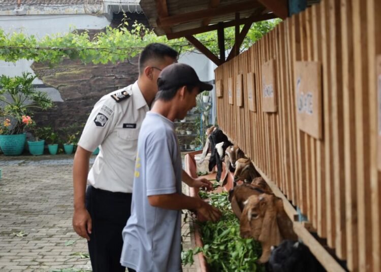 WhatsApp Image 2026 04 30 at 13.34.41 1