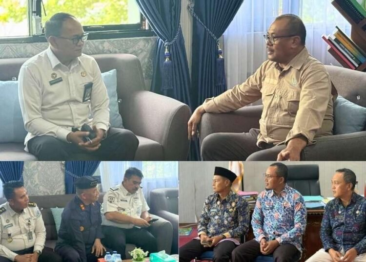 Desain tanpa judul 13