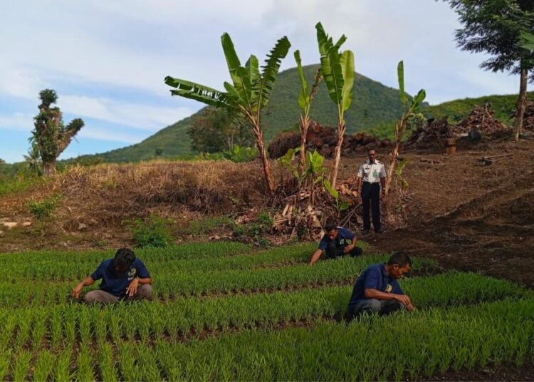 IMG 20260518 WA0045