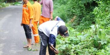 IMG 20260519 WA0002