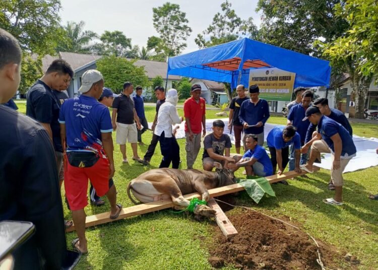 Pelaksanaan Penyembelihan Hewan Qurban Hari Raya Idul Adha 1447 H/ 2026 M Di Lapas Kelas IIB Arga Makmur 5 IMG 20260527 WA0055