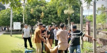 IMG 20260528 WA0003