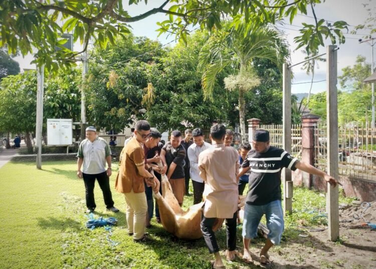 Wujud Kebersamaan dan Kepedulian Sosial, Lapas Bandanaira Gelar Penyembelihan Hewan Qurban Idul Adha 1447 H 5 IMG 20260528 WA0003