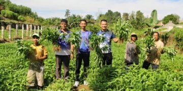 Lapas Bengkulu, Lembaga Pemasyarakatan, Ketahanan Pangan, Panen Kangkung,