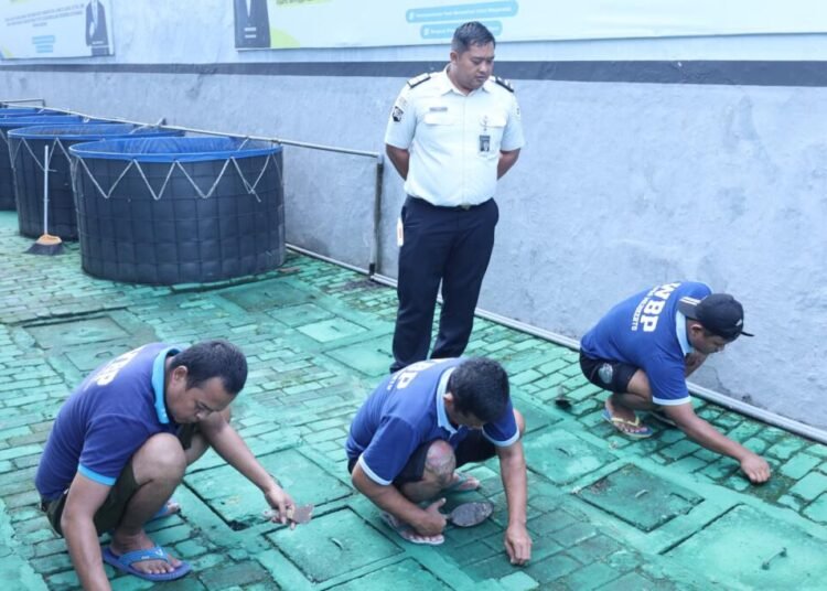 Optimalkan Lahan Sarana Asimilasi Edukasi, Lapas Mojokerto Awasi Warga Binaan Bersihkan Area Dukung Ketahanan Pangan 5 WhatsApp Image 2026 05 19 at 10.28.40