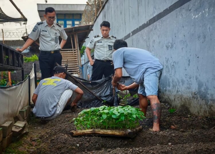 Langkah Nyata Lapas Mojokerto, Penanaman Benih Jadi Awal Penguatan Kemandirian Pangan 5 WhatsApp Image 2026 05 21 at 10.36.57