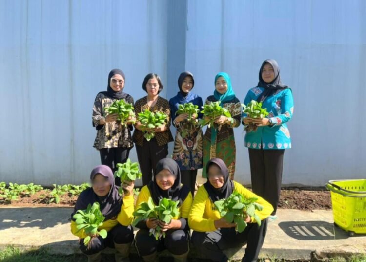 LPP Bengkulu Gelar Panen Pakcoy di Kebun Lapas 5 WhatsApp Image 2026 05 22 at 10.27.20