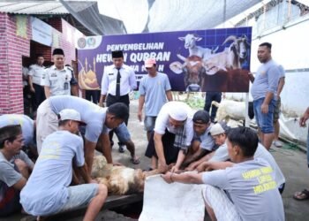 Semangat Kebersamaan, Lapas Mojokerto Gelar Penyembelihan Hewan Qurban Idul Adha 1447 H 3 WhatsApp Image 2026 05 27 at 10.36.09