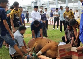 Lapas Bengkulu, Iduladha 1447 H, Pemotongan Hewan Qurban, Warga Binaan, Kalapas Bengkulu, Julianto Budhi Prasetyono, Pemasyarakatan, Kegiatan Sosial Lapas, Dharma Wanita Persatuan, Polsek Muara Bangkahulu, Qurban Lapas, Berbagi Iduladha, Pembinaan WBP, Lapas Kelas IIA Bengkulu, Kementerian Imigrasi dan Pemasyarakatan