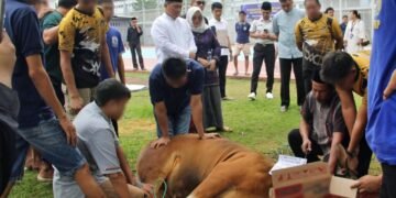 Lapas Bengkulu, Iduladha 1447 H, Pemotongan Hewan Qurban, Warga Binaan, Kalapas Bengkulu, Julianto Budhi Prasetyono, Pemasyarakatan, Kegiatan Sosial Lapas, Dharma Wanita Persatuan, Polsek Muara Bangkahulu, Qurban Lapas, Berbagi Iduladha, Pembinaan WBP, Lapas Kelas IIA Bengkulu, Kementerian Imigrasi dan Pemasyarakatan