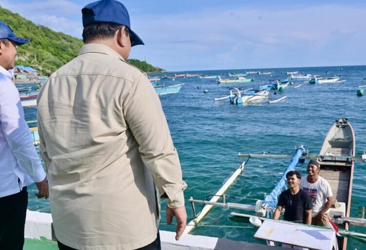 Presiden Prabowo Didampingi Menteri Trenggono Tinjau KNMP Leato Selatan