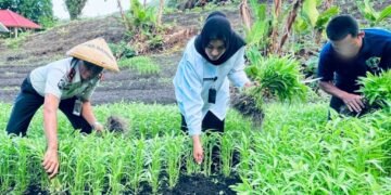 IMG 20260602 WA0042