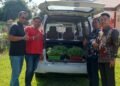 Bibit Hortikultura