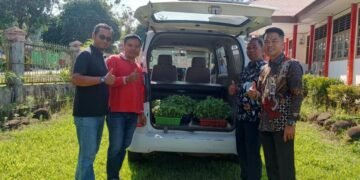 Bibit Hortikultura