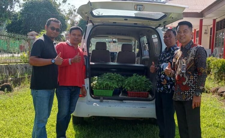 Bibit Hortikultura