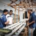 Warga Binaan Lapas Bandanaira diberdayakan Kembangkan tanaman Hidroponik 18 IMG 20260620 WA0000
