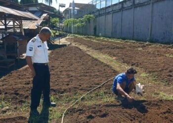 Lapas Arga Makmur Optimalkan Ketahanan Pangan Melalui Penanaman Bibit Kangkung 7 IMG 20260611 125020