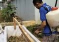 Lapas Arga Makmur olah 24 Kilogram Sampah Organik Menjadi Kompos untuk Dukung Ketahanan Pangan 29 IMG 20260618 115131