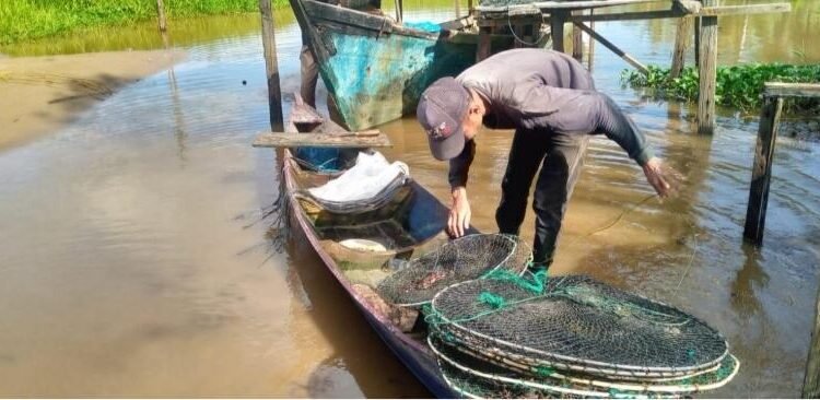 Mengayuh Harapan dari Sungai: Kisah Mahasiswa Aceh Singkil Pencari Kepiting demi Biaya Kuliah