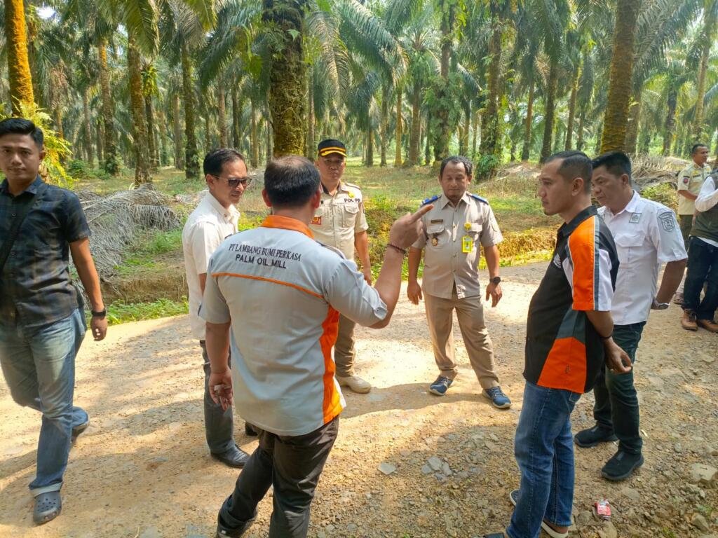 WhatsApp Image 2026 06 10 at 14.07.17
