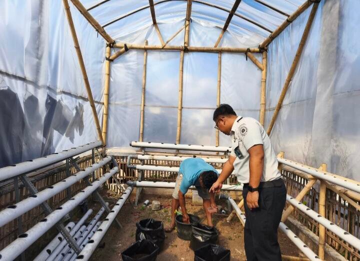 Pembinaan Agrikultur: Penanaman Biji Melon oleh Warga Binaan Lapas Arjasa 5 Oplus_131072