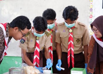 Tingkatkan Kompetensi Anggota, Saka POM Kota Bima Gelar STOMATA Bahas Pencegahan Stunting dan Uji Cepat Boraks
