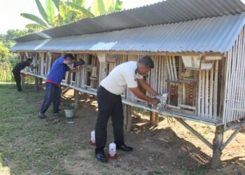 Lapas Bengkulu, Lapas Kelas IIA Bengkulu, Pemasyarakatan, Kemenimipas, Ditjenpas, Ketahanan Pangan, Peternakan Ayam Arab, Ayam Arab, Pembinaan Kemandirian