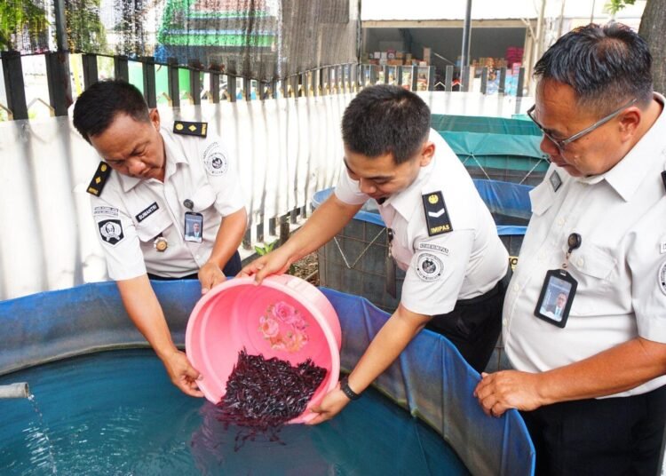 Konsistensi Wujudkan Kemandirian Pangan, Lapas Mojokerto Tebar 12.000 Benih Lele 5 WhatsAppImage2026 07 29at14.41.33