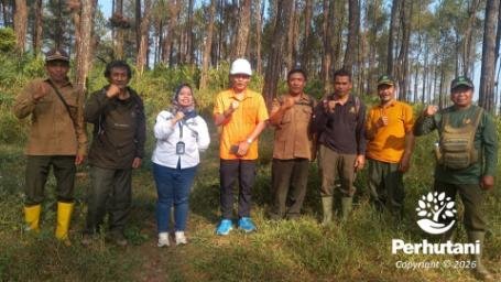 Perhutani Rawat Hutan Lewat Evaluasi Sadapan Berkala di RPH Pandanarum dan RPH Kalibening 5 127 16.9