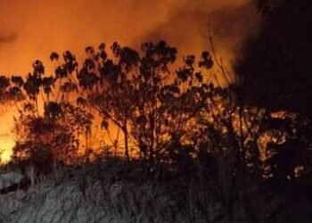 Fenomena Karhutla: Efek Anomali Iklim Semesta ataukah Dampak Pengabaian Ekosistem Flora? 1 20260821 164736