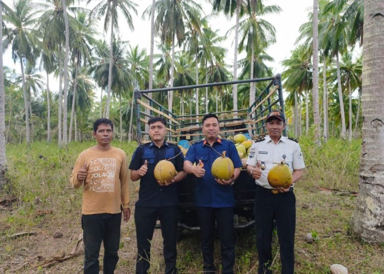 Jual Hasil Panen Kelapa SAE Lapas Arjasa, Dorong Pembinaan Produktif dan Bernilai Ekonomi 5 710ba3a4 fc07 4dfd 946f 5dcfb7873a60