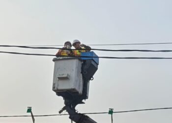 IMG 20260813 WA0042