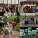 Kekompakan mahasiswa KKN Universitas Riau dan warga Desa Sialang Panjang saat bergotong royong mengolah lahan pekarangan menjadi Taman Tanaman Obat Keluarga (TOGA) yang asri dan kaya manfaat.