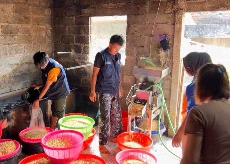 KKN MMK Posko 08 Intip Proses Produksi Tempe Anisah, Kebersihan Kedelai Jadi Kunci 5 Screenshot