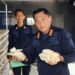 Lapas Bengkulu Panen Perdana 2,5 Kg Jamur Tiram dari 1.000 Baglog 18 Lapas Bengkulu, Lembaga Pemasyarakatan, Jamur Tiram, Budidaya Jamur Tiram, Panen Jamur Tiram, Pembinaan Kemandirian, Warga Binaan