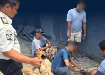 Wujud Nyata Dukung Ketahanan Pangan, Lapas Mojokerto Panen Itik Hasil Pembinaan 7 Screenshot 2026 08 26 1507412 1
