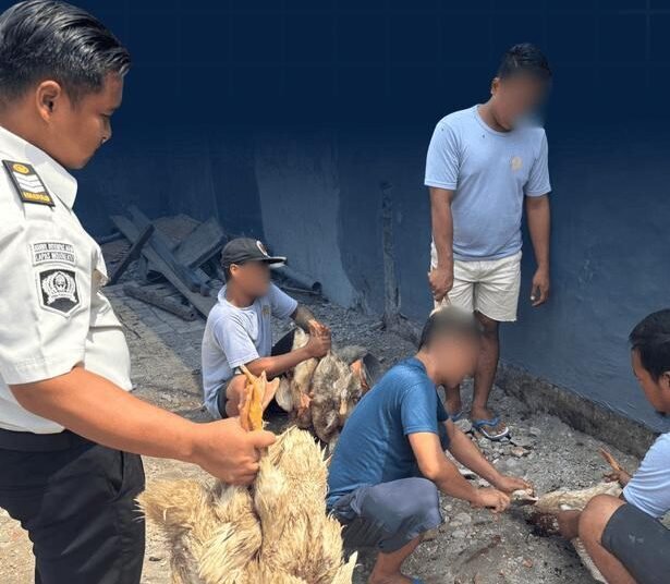Wujud Nyata Dukung Ketahanan Pangan, Lapas Mojokerto Panen Itik Hasil Pembinaan 5 Screenshot 2026 08 26 1507412 1
