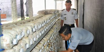 Lapas Bengkulu, Lapas Kelas IIA Bengkulu, Jamur Tiram, Budidaya Jamur,