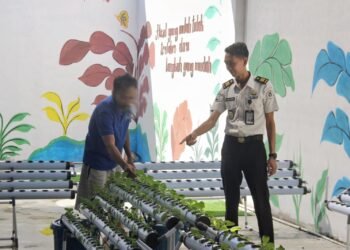 Lapas Bengkulu, Lembaga Pemasyarakatan Kelas IIA Bengkulu, Hidroponik, Sawi Manis,